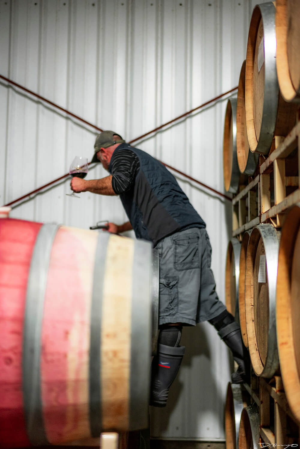 Photos with Communique Wines in McMinville, Oregon, in the Fall of 2020.